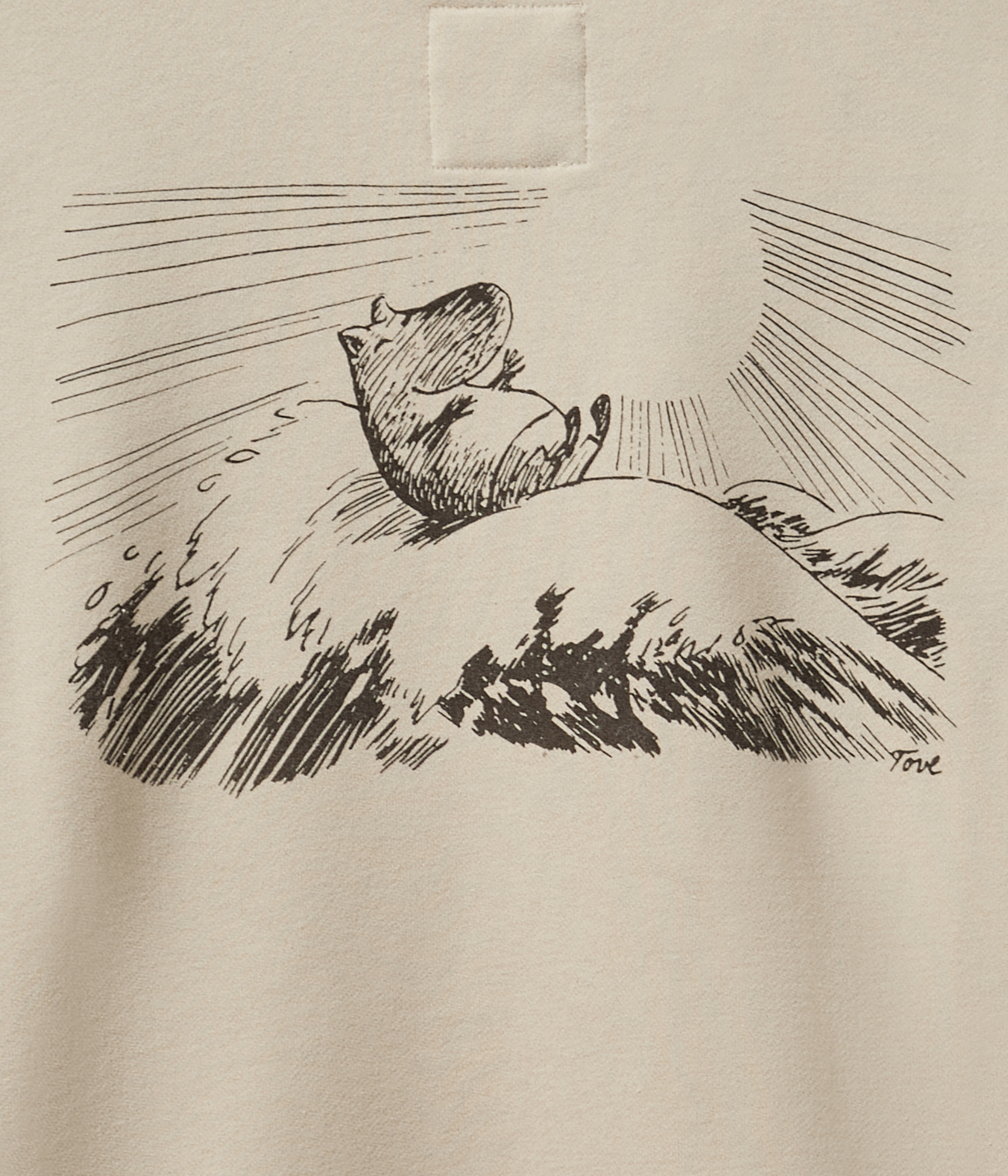 ELINSW SWEATSHIRT (7146 Fog)