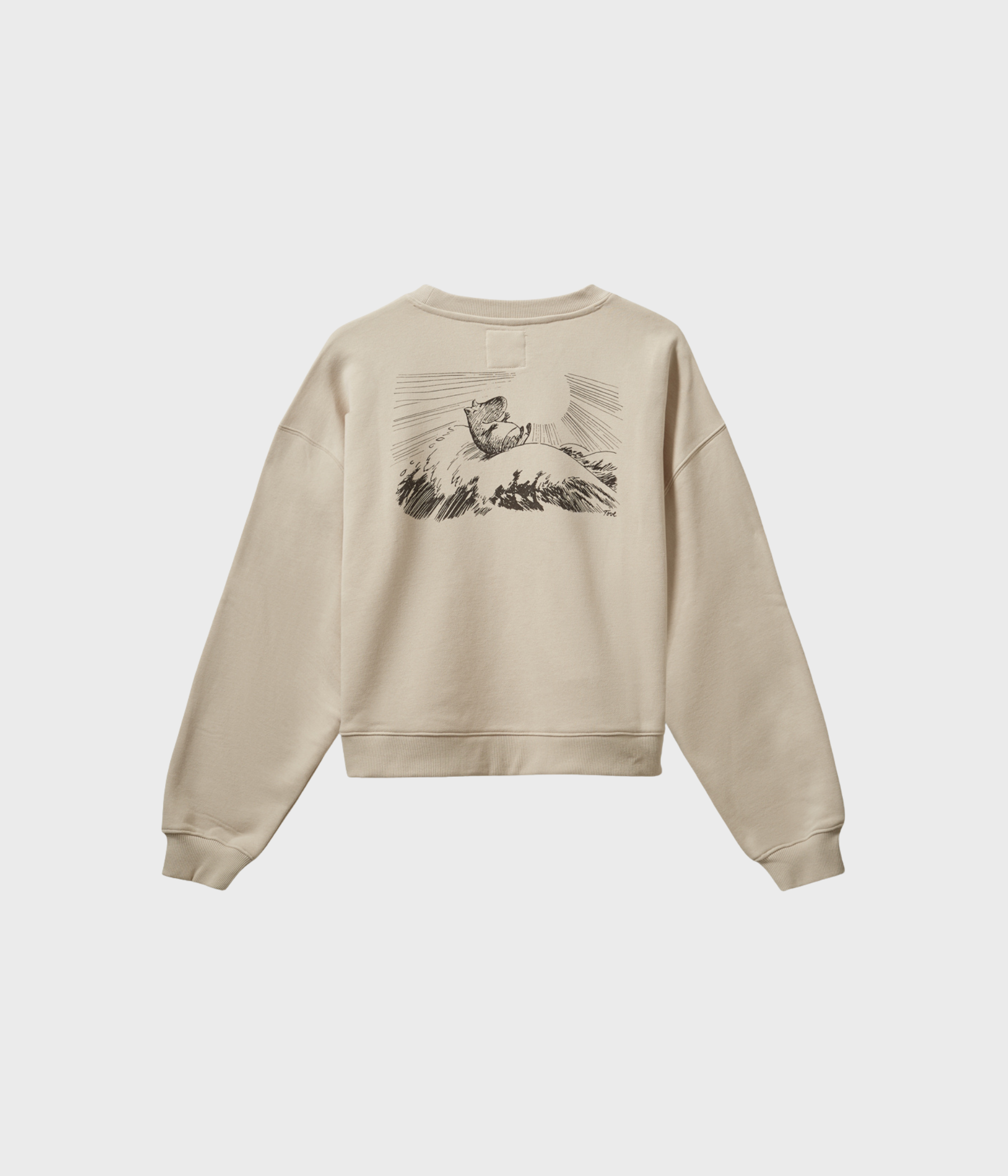 ELINSW SWEATSHIRT (7146 Fog)