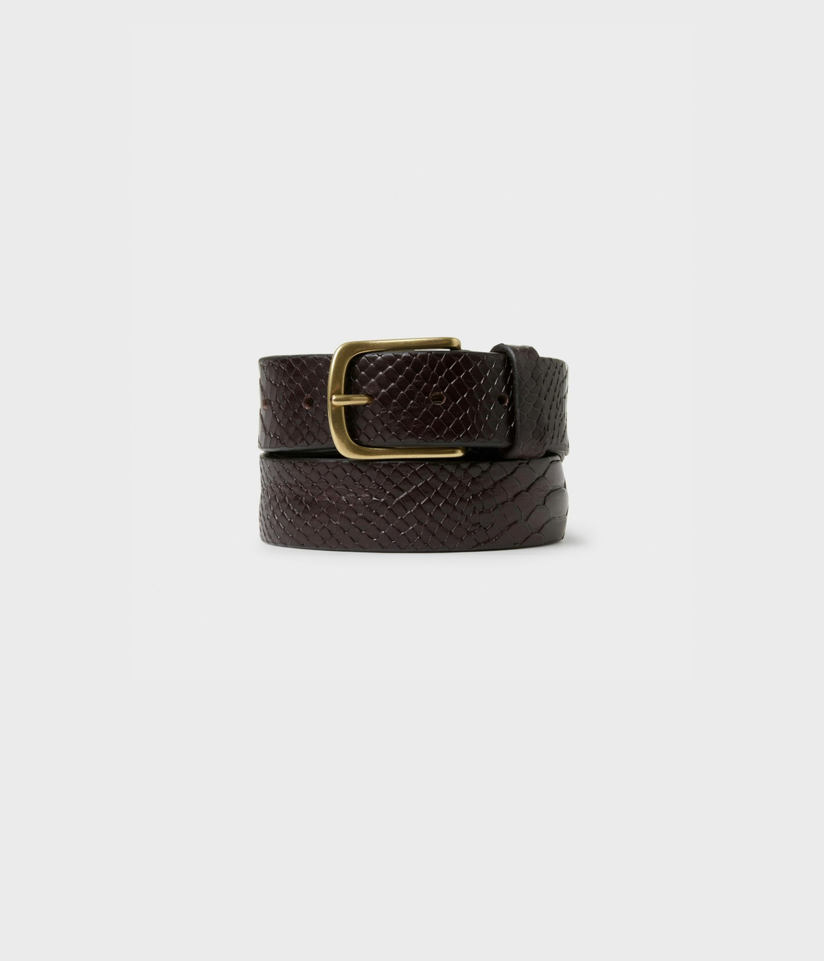 Luca (0004 Dk.Brown)