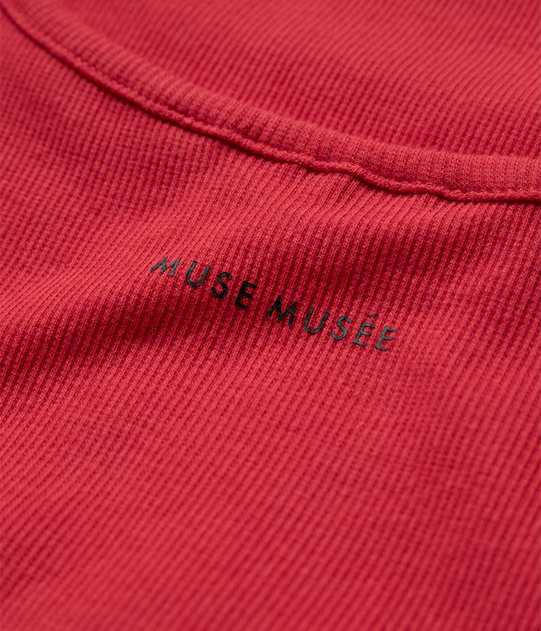 CMSIV-TO (8151 Tomato)