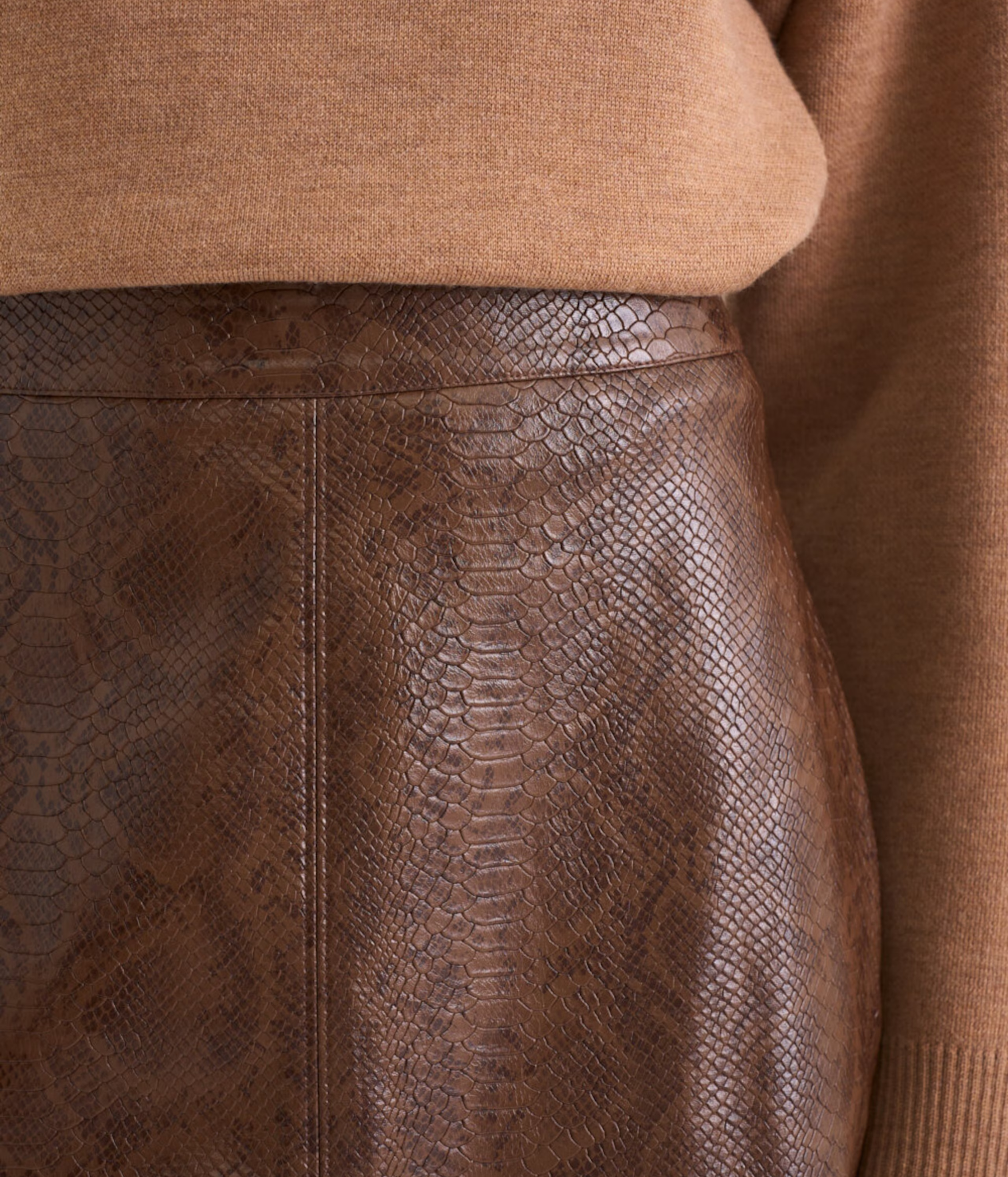Ramona Faux Leather Skirt Brown Snake Print (Brown Snake Print)
