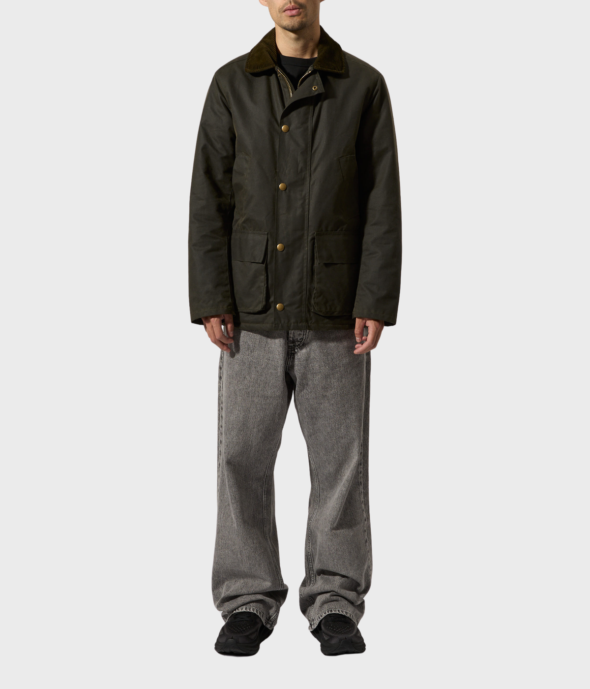 Curtis (060 OLIVE)