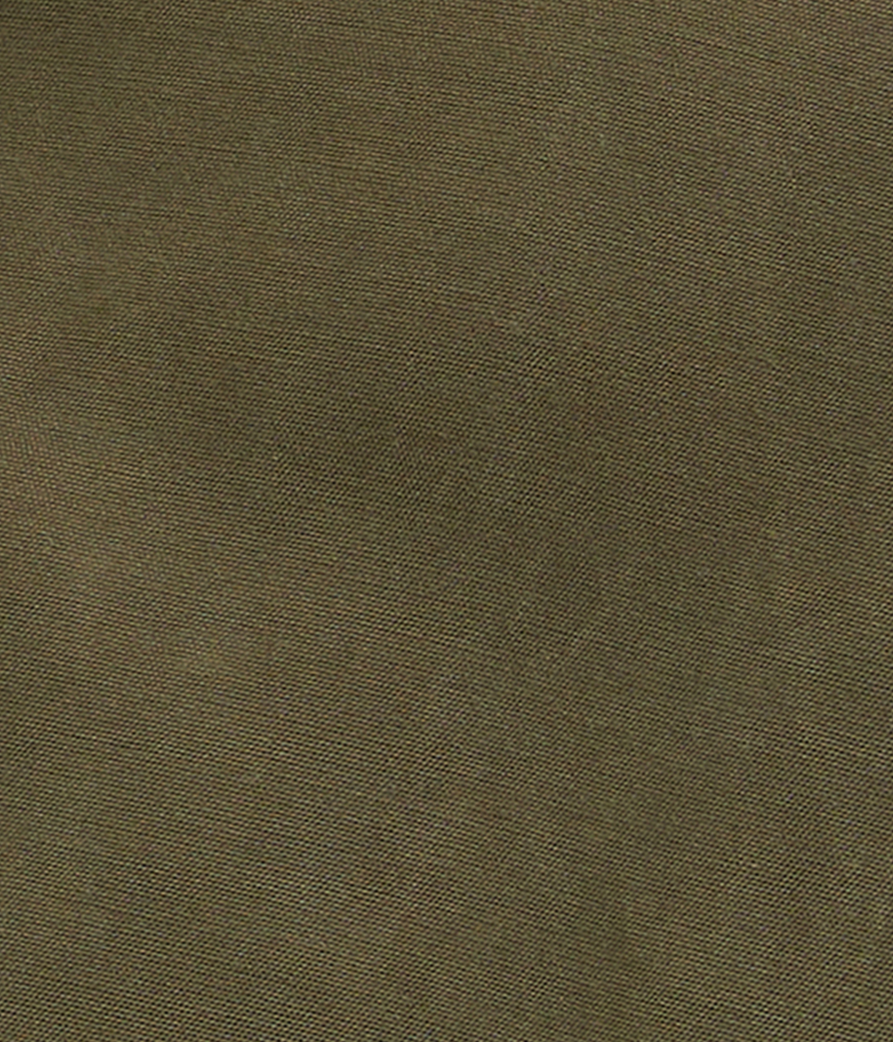 Barbour Icons Spey SP (OL72 Ivy Green/ancie) - D.O. Design Only