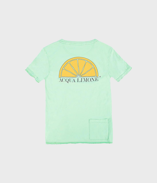 T-Shirt Classic (390 Summer Green)