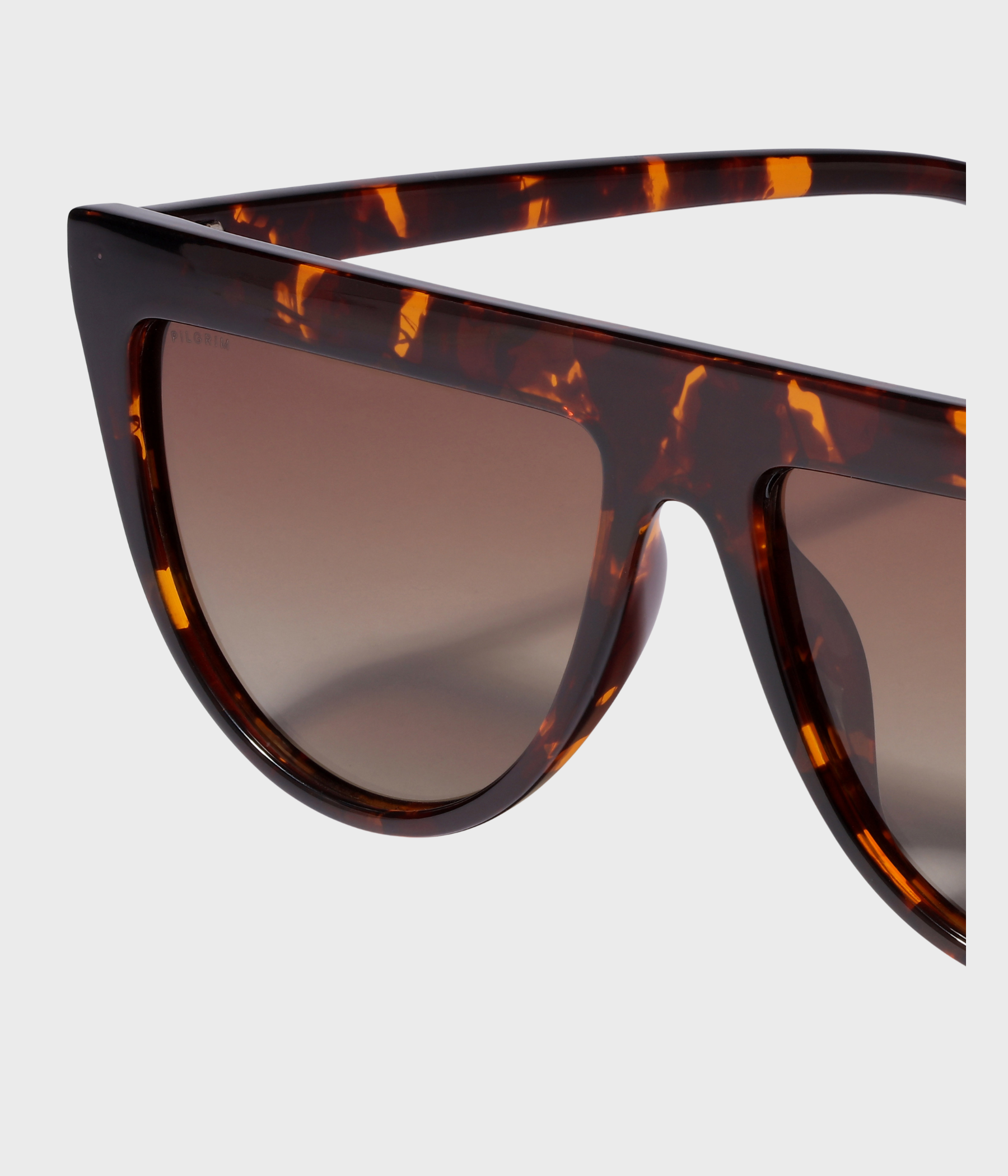 ALESSANDRA Sunglasses Tortoise Brown (tortoise brown)