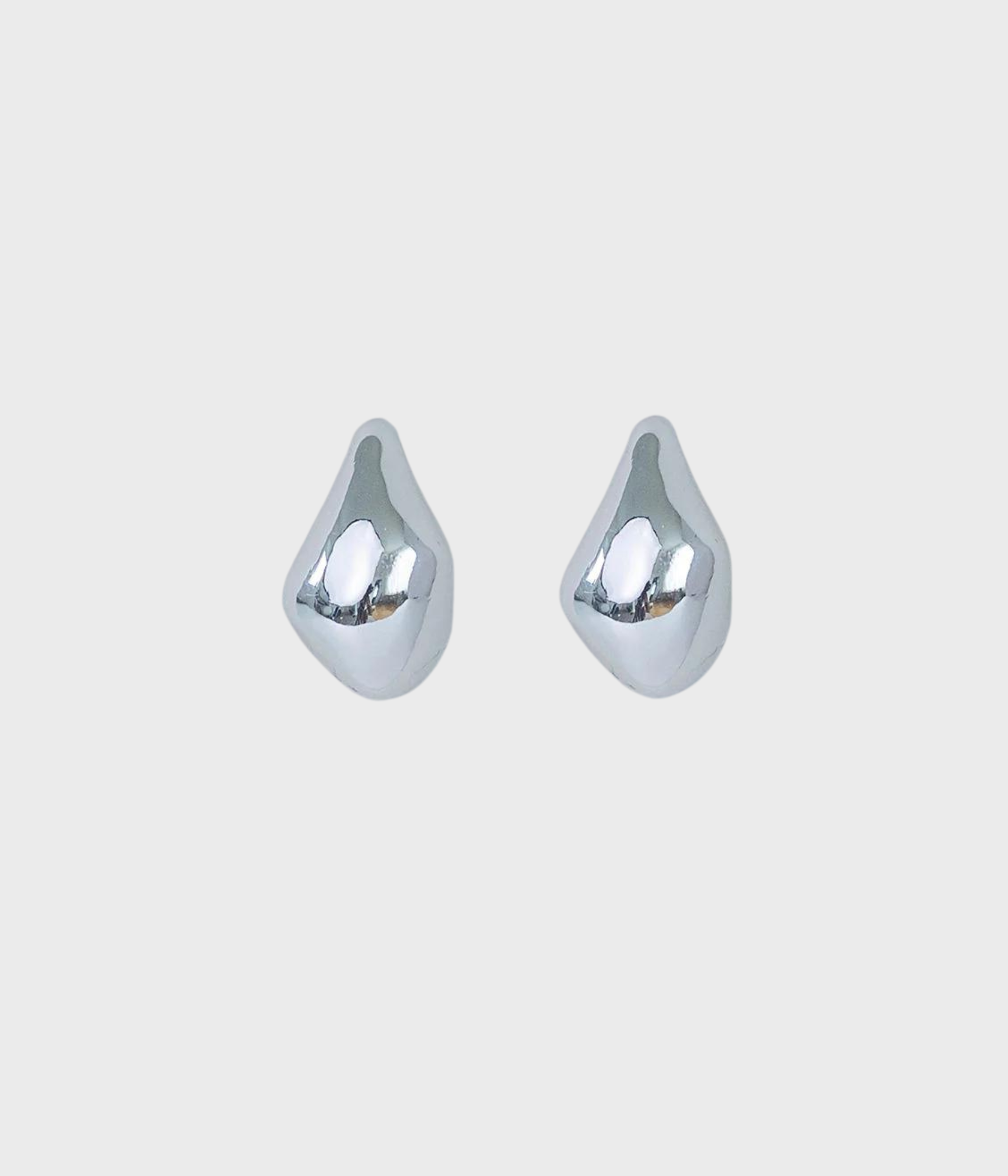 Drop Earrings Silver (silver)