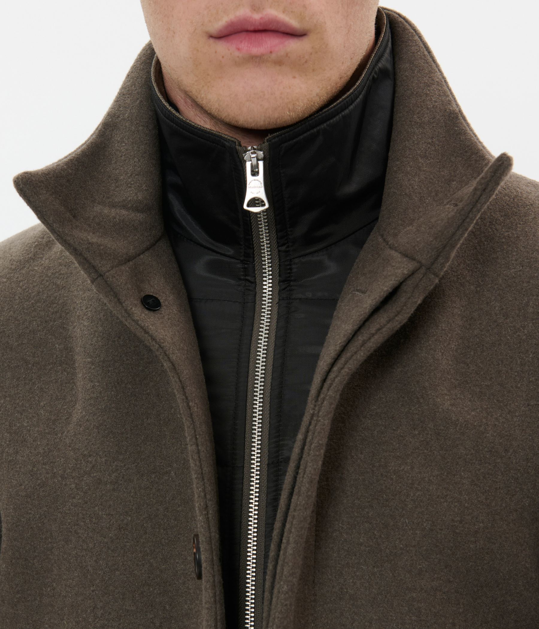 Harvey N. (181110 Brindle)