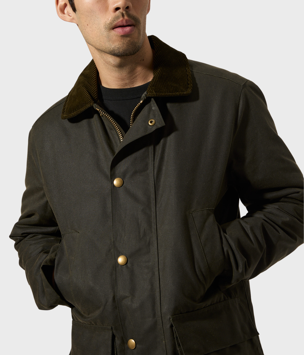 Curtis (060 OLIVE)