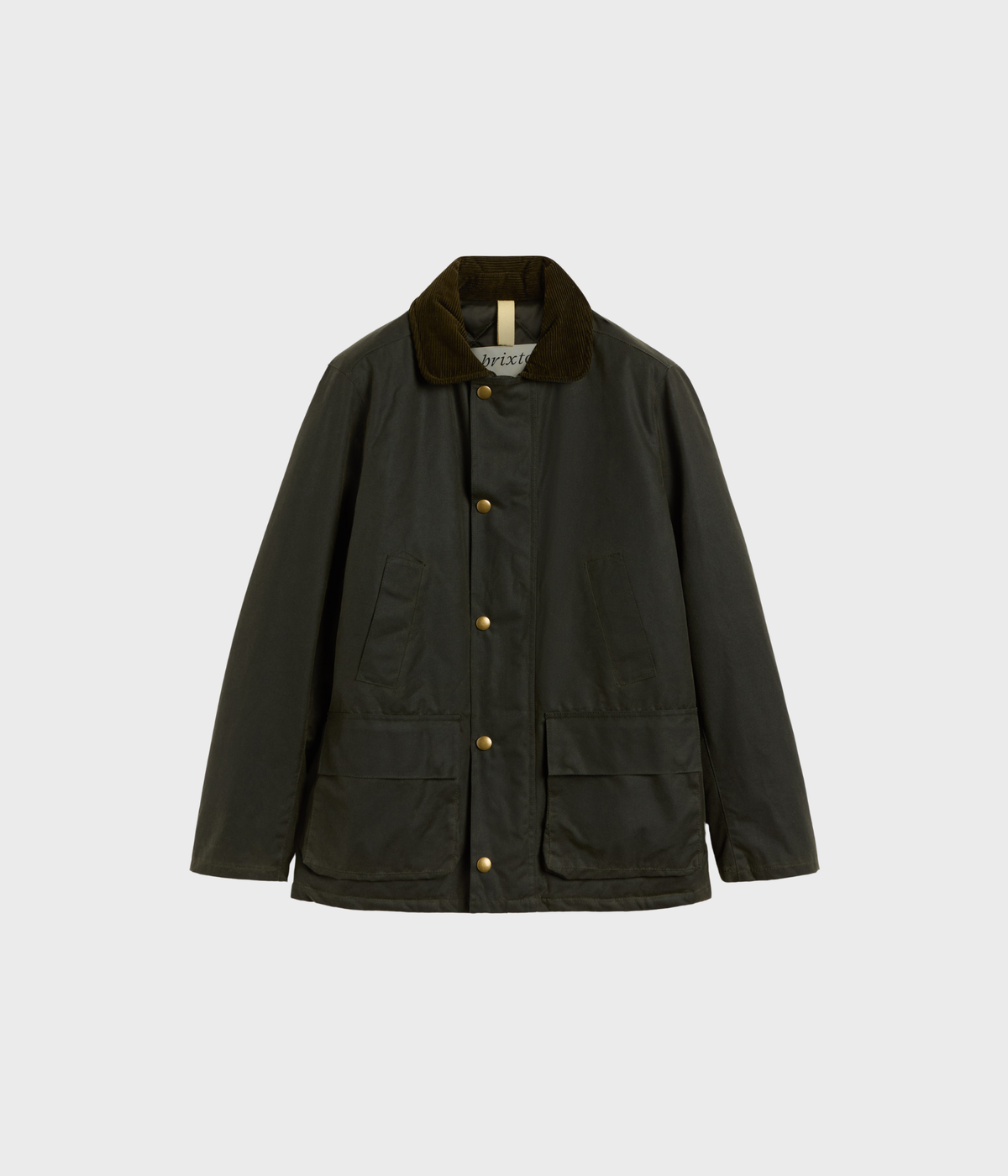 Curtis (060 OLIVE)