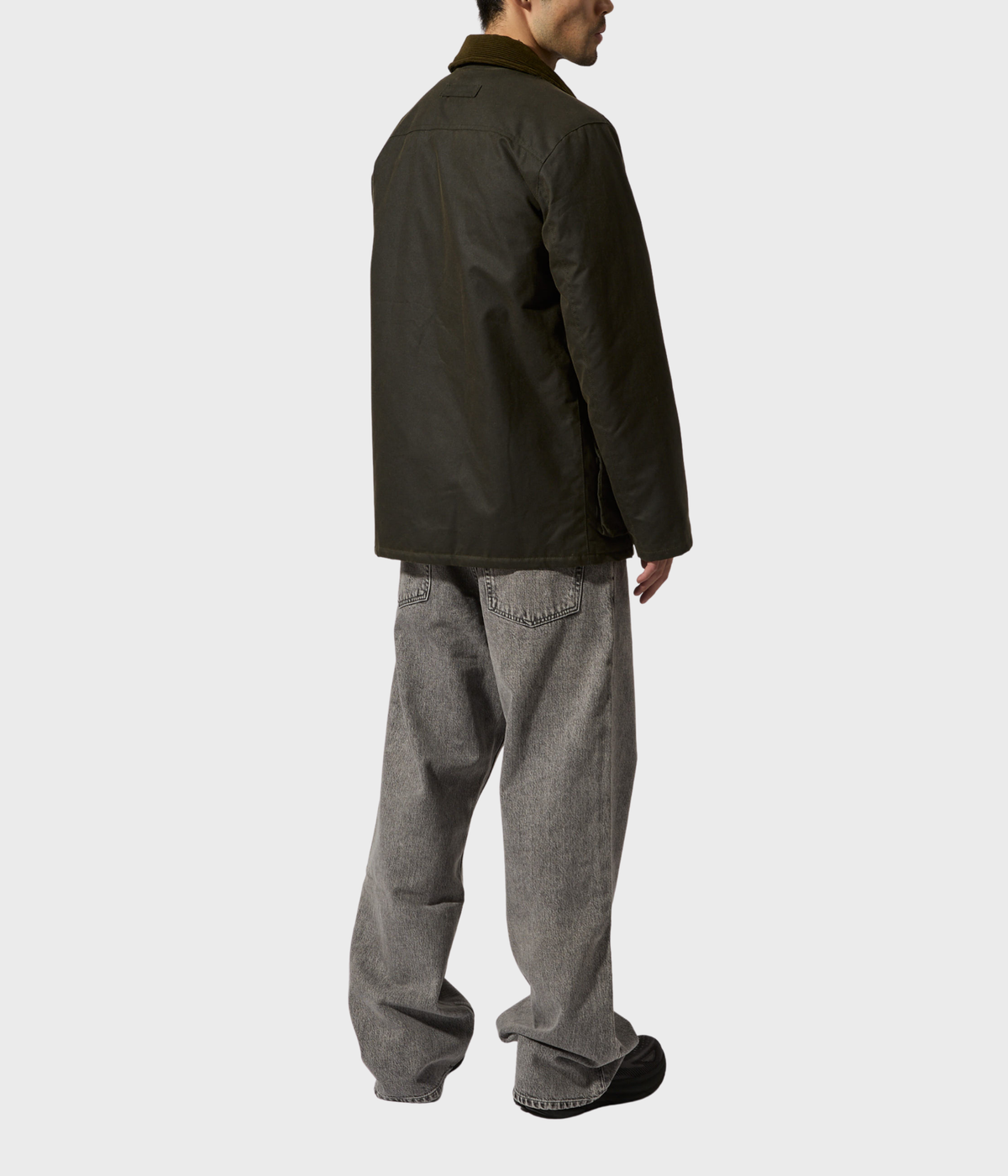 Curtis (060 OLIVE)