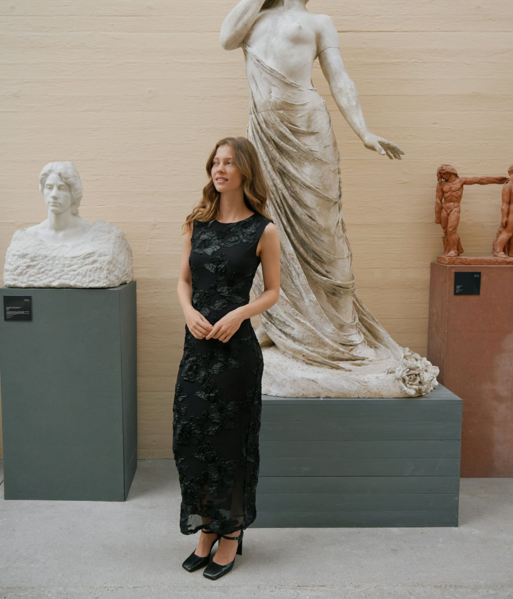 Tiranna Big Flower Mesh Dress (Black)