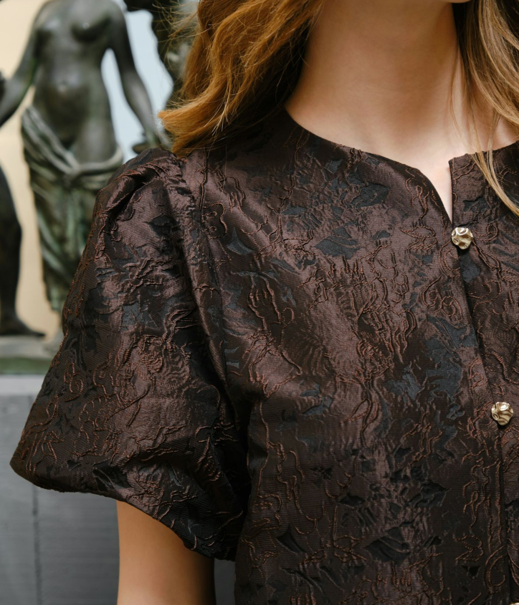 Aisa Brocade Blouse (DARK BROWN)