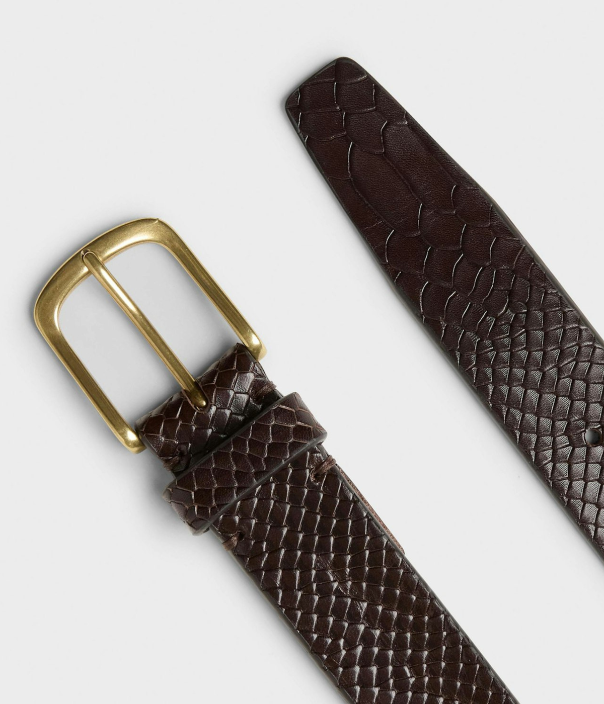 Luca (0004 Dk.Brown)